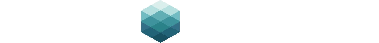 Atluri Holdings